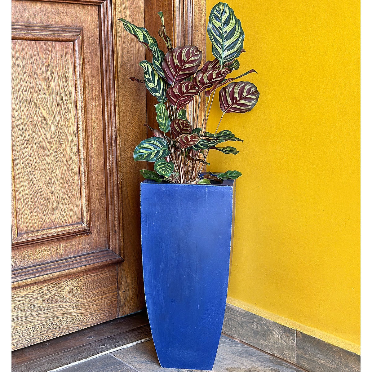 Vaso Fino para Plantas E Decoração de Ambientes Internos