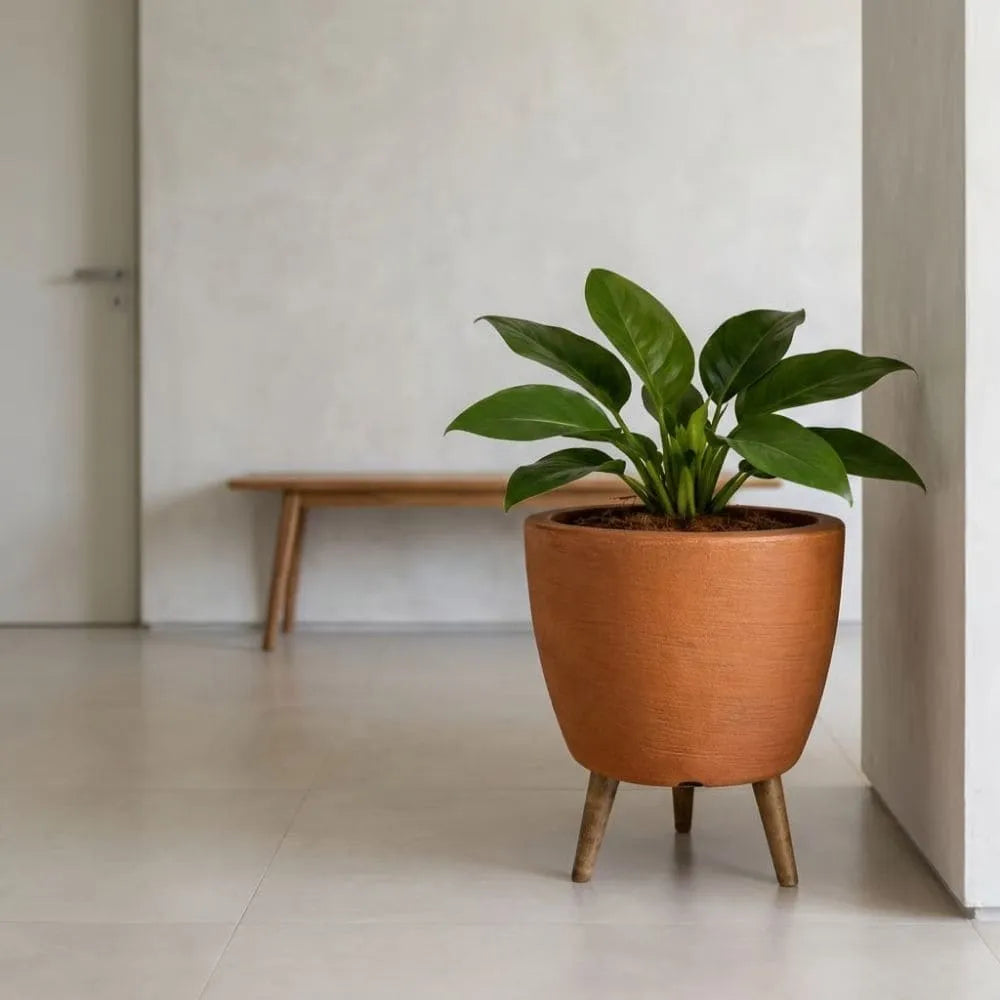 Vaso Linha Berlim com Tripé