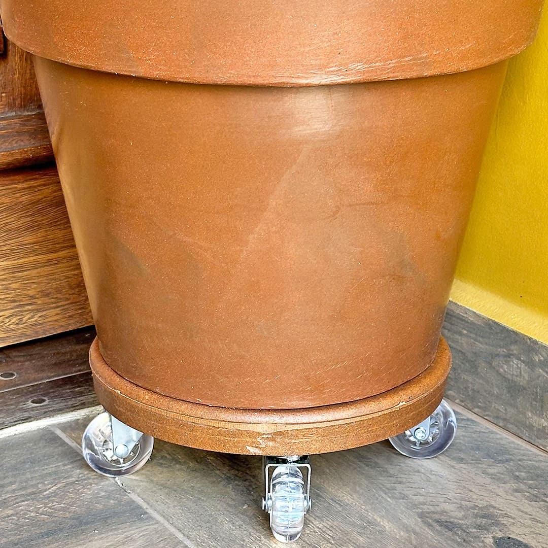 Suporte com Rodas de Silicone para Vasos Redondos