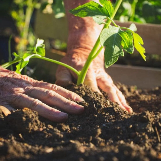 Maxgreen Adubo Mineral Misto NPK 20-05-20 1kg