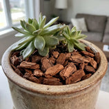 Casca de Pinus Polida Para Jardim e Paisagismo Avena 5L
