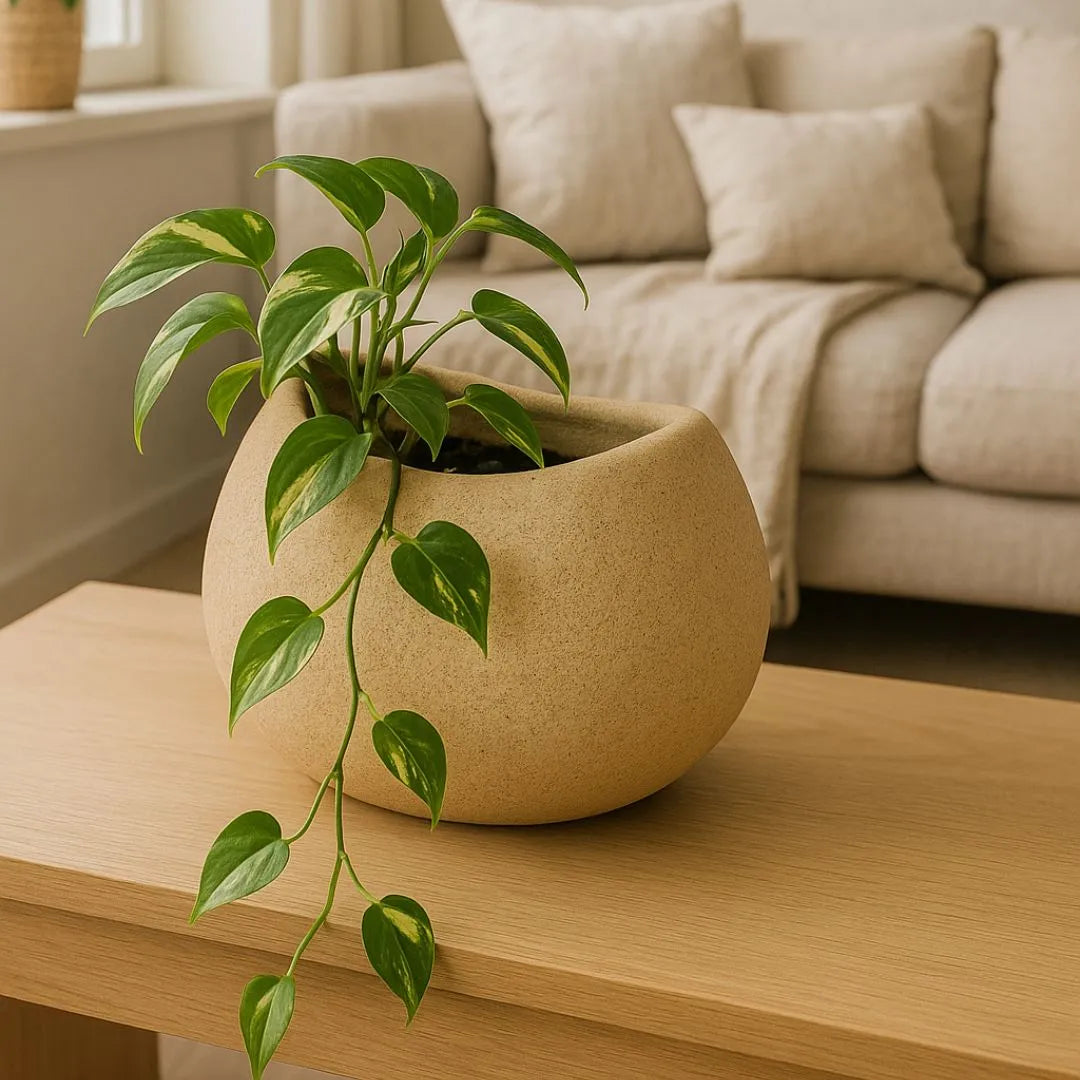 Kit 2 Vasos Oval Texturizado Nutriplan