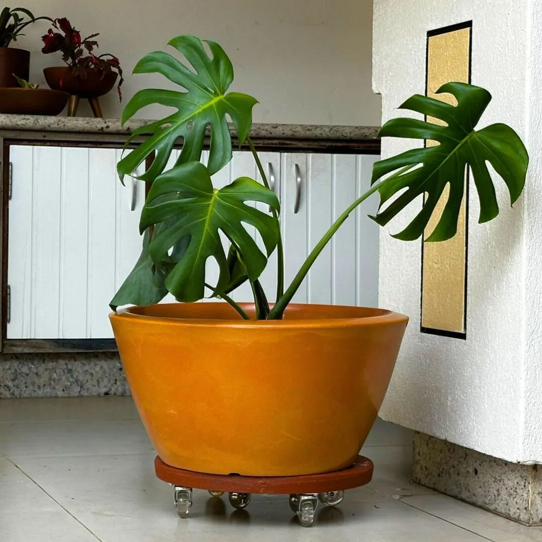 Vaso Bacia Pequim em Polietileno 52cm