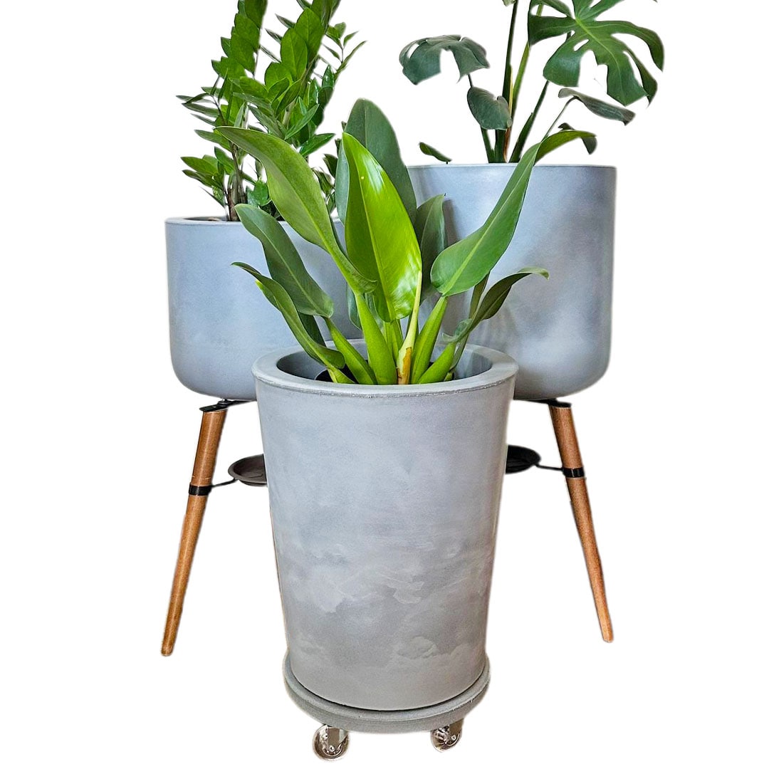 Kit Com 3 Vasos de Luxo Para Planta Decoração Apartamento