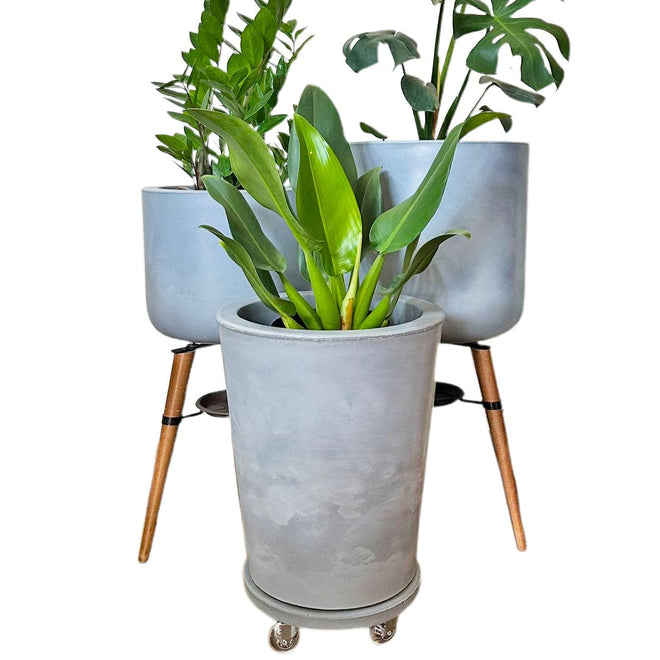 Kit Com 3 Vasos de Luxo Para Planta Decoração Apartamento