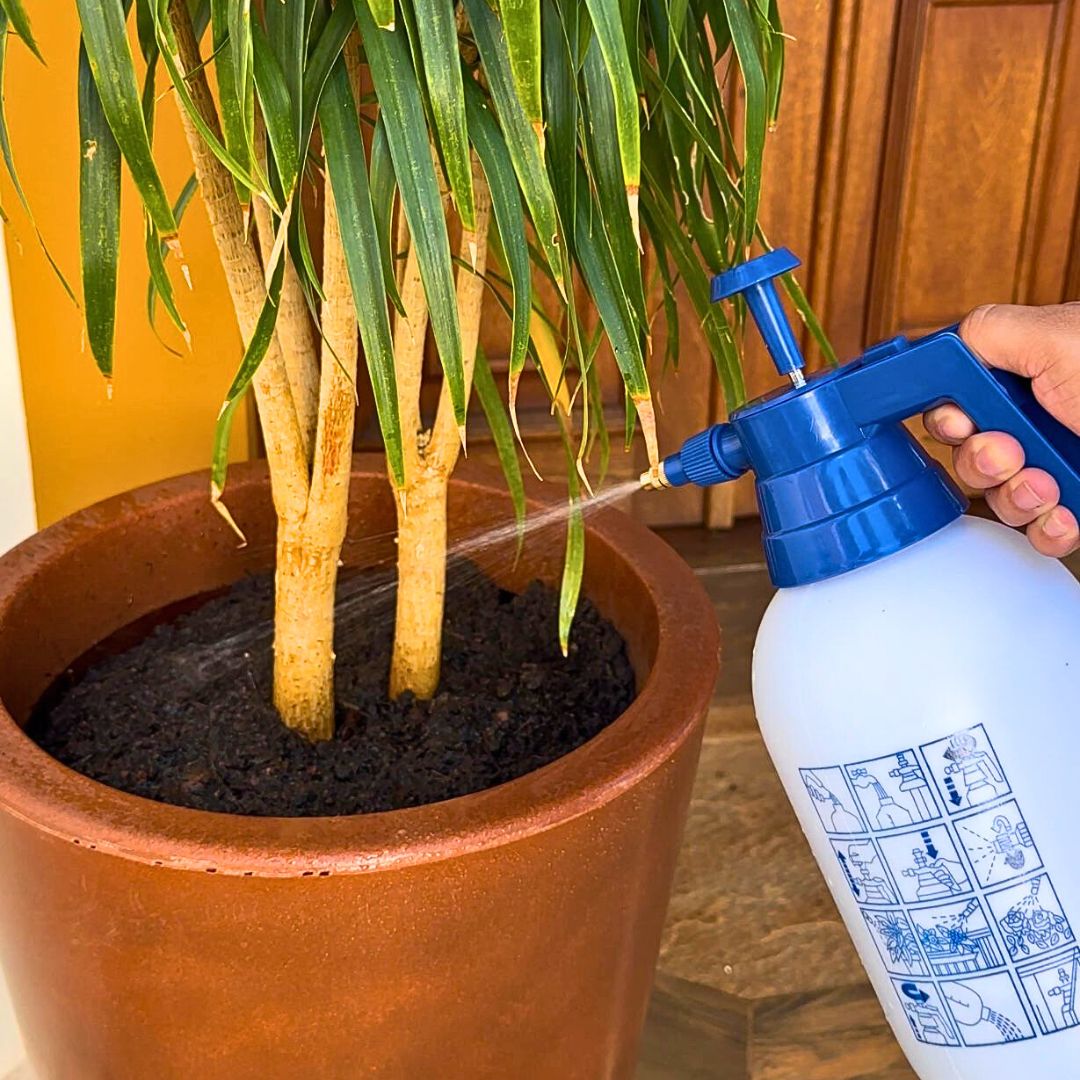 Pulverizador Borrifador Manual de Compressão Prévia 1,5L