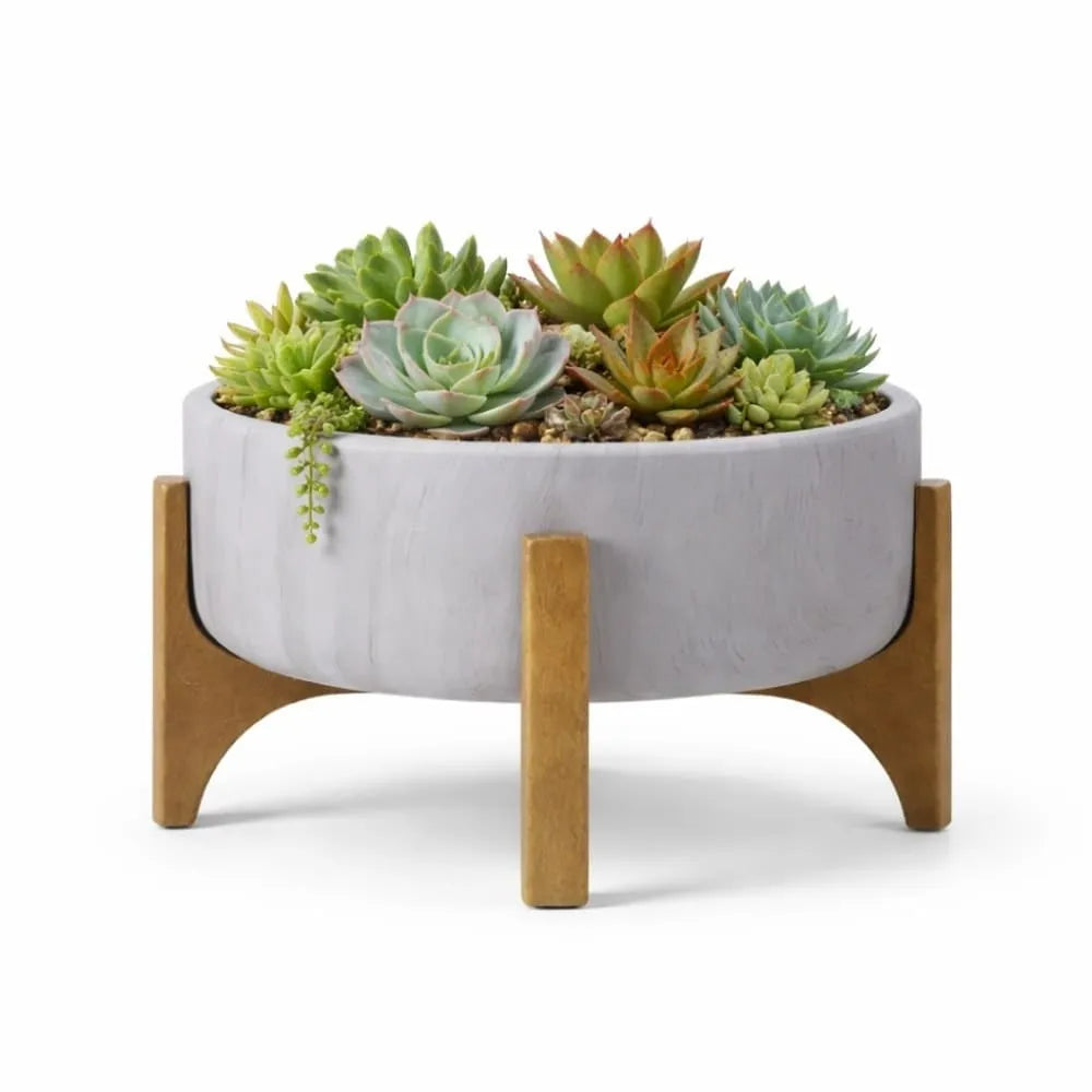 Vaso Bacia Linha Genebra com Suporte de Madeira