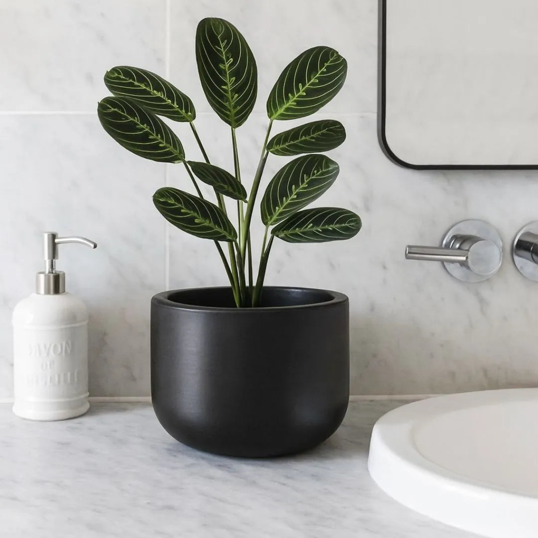 Vaso Doha Médio em Polietileno