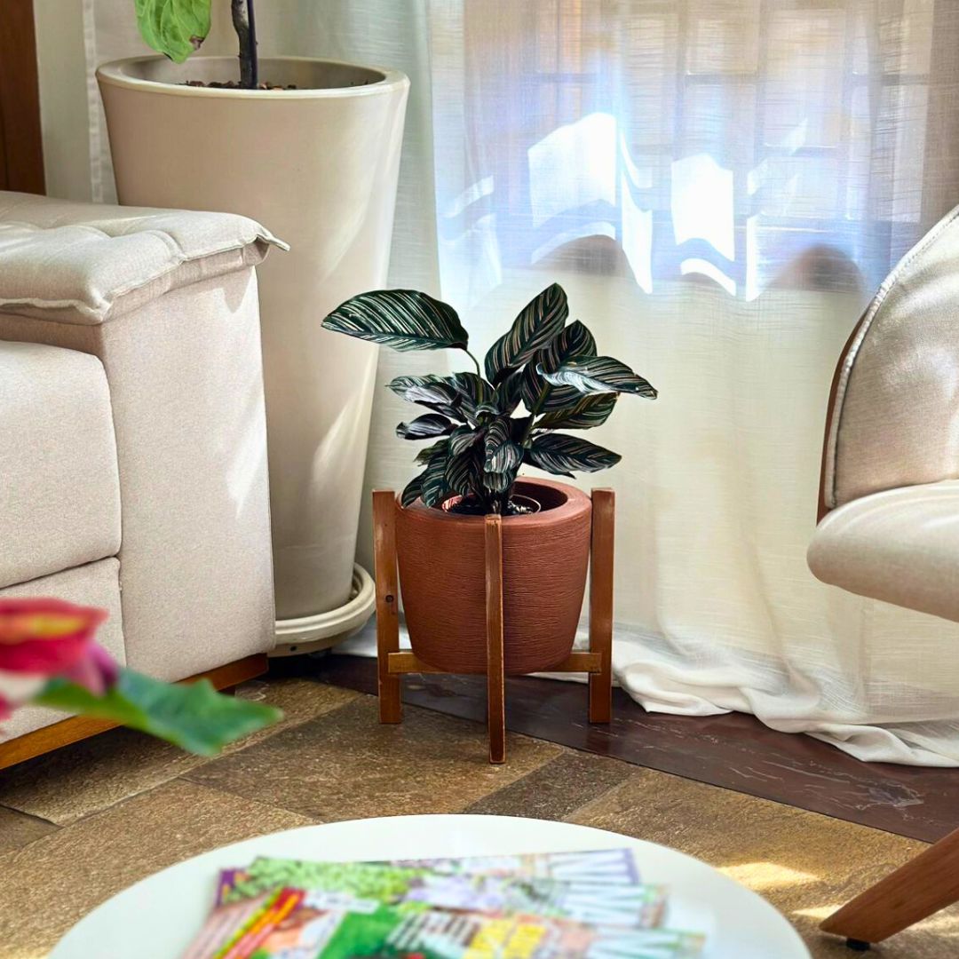 Kit Vaso Decorativo em Polietileno + Suporte de Madeira Rústica