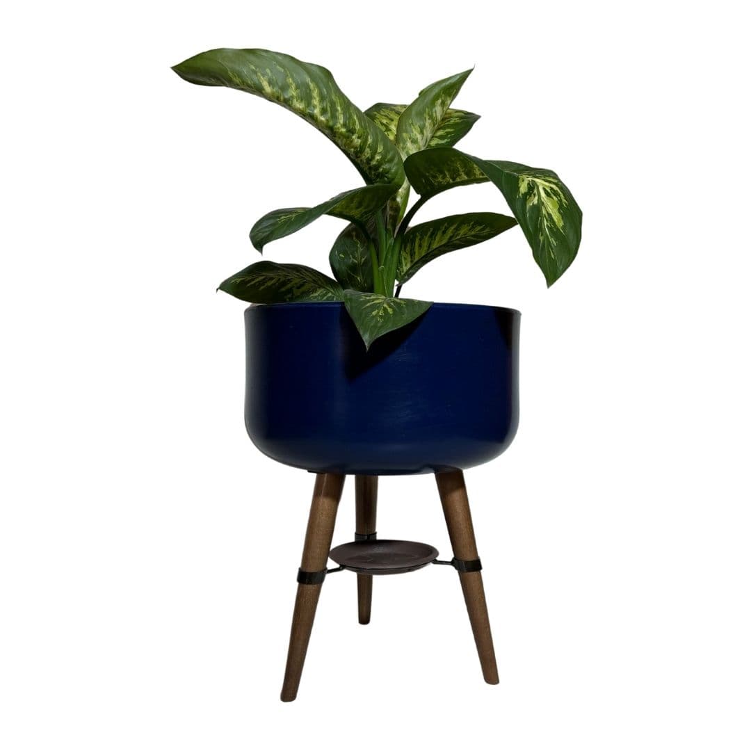 Vaso Bacia Linha Doha com Tripé de Madeira