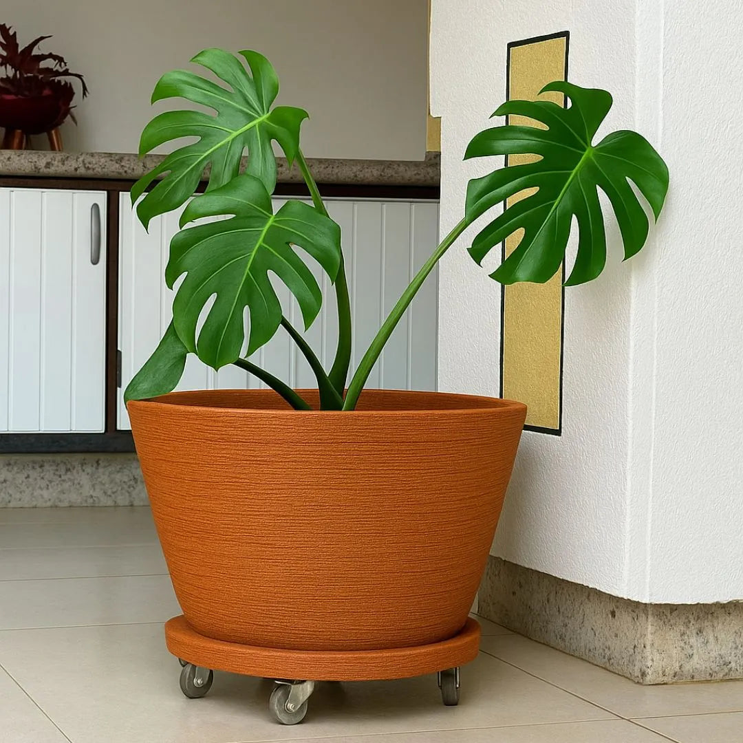 Vaso Bacia Pequim Texturizado em Polietileno 52cm