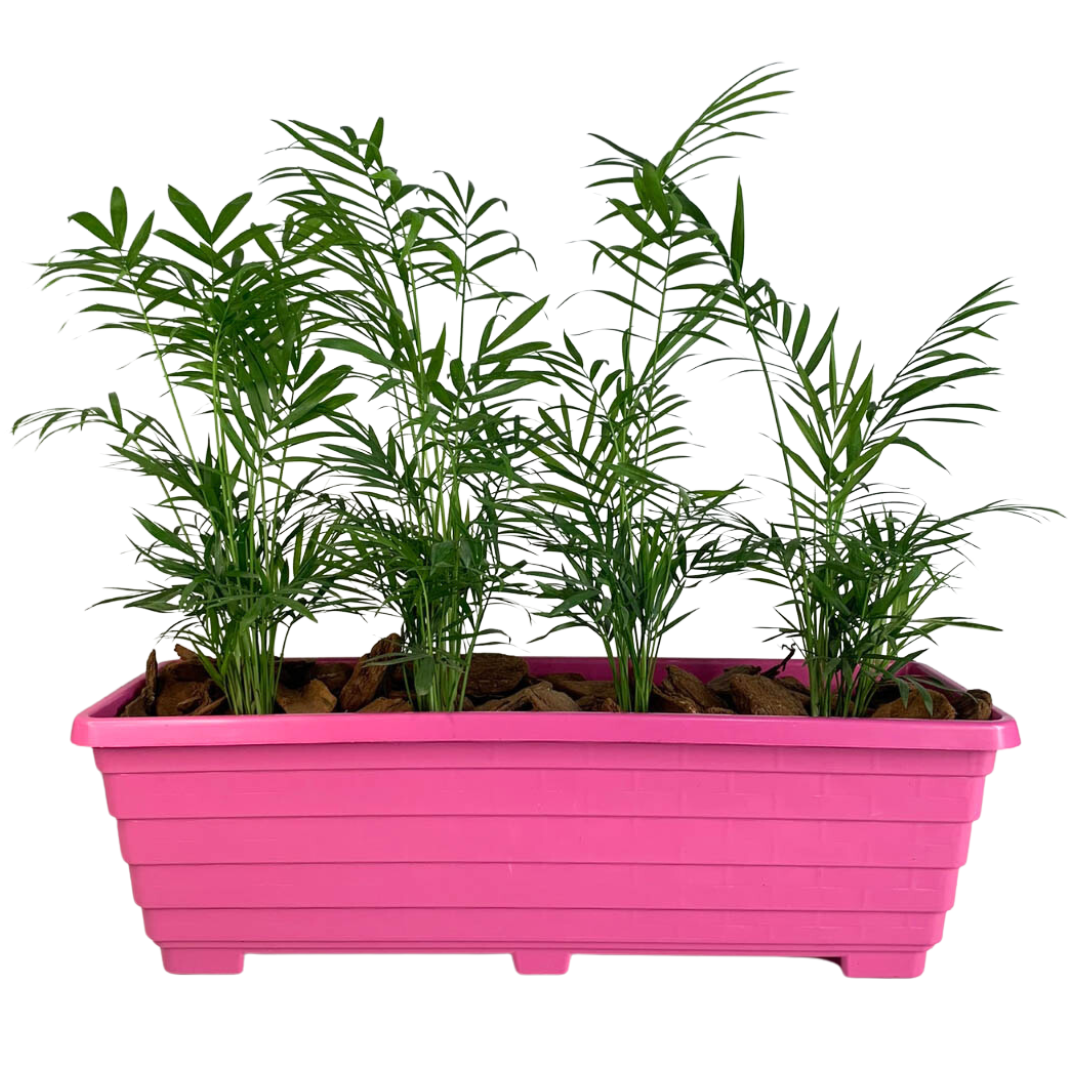 Jardineira Floreira de Plástico 50cm