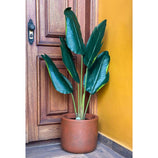 Planta Artificial Bananeira de Jardim Árvore Realista 1,15m