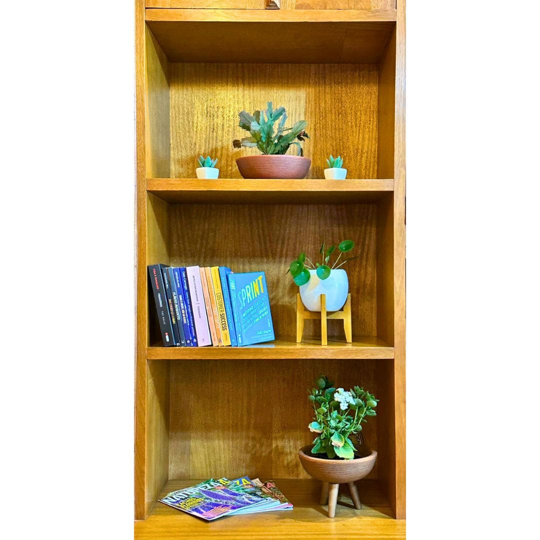 Kit 3 Vasos Pequenos para Espaços Compactos