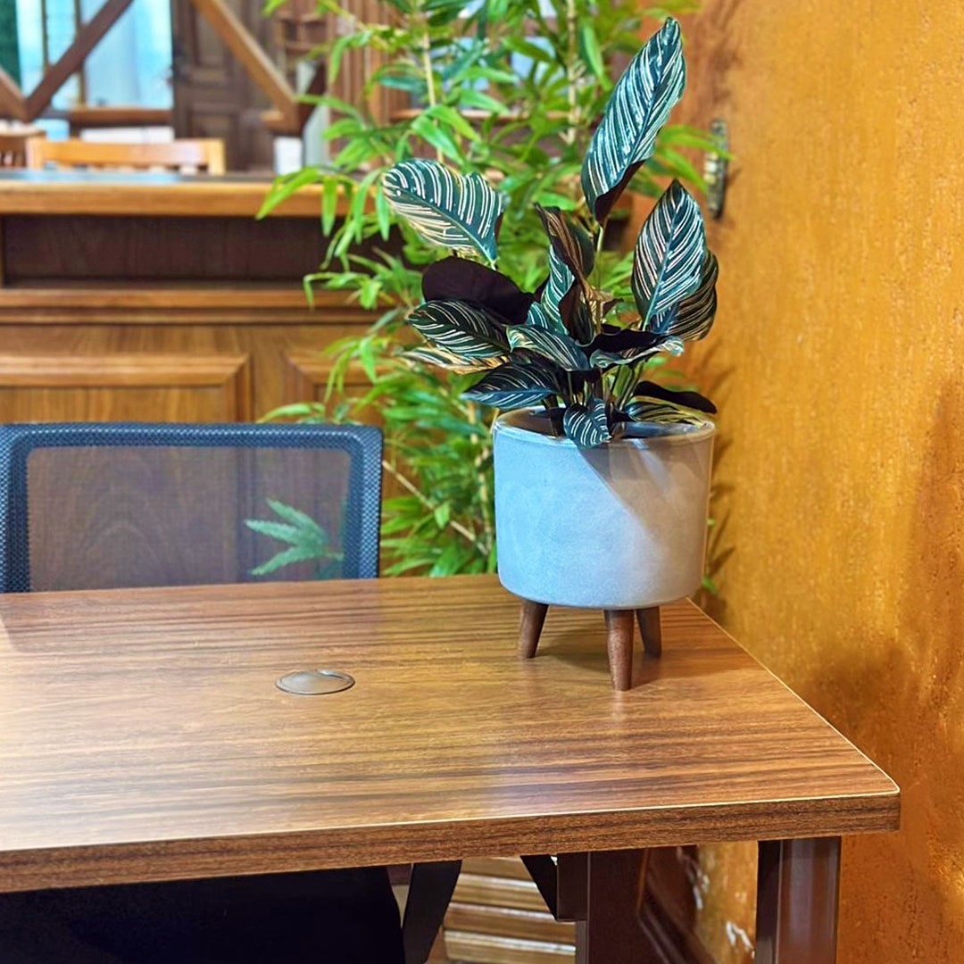 Mini Vaso Linha Doha 22cm com Tripé