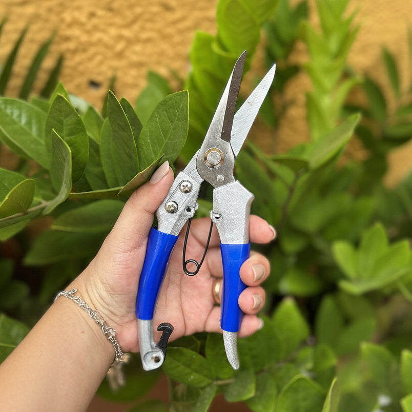 Tesoura de Poda Bico com Trava de Segurança