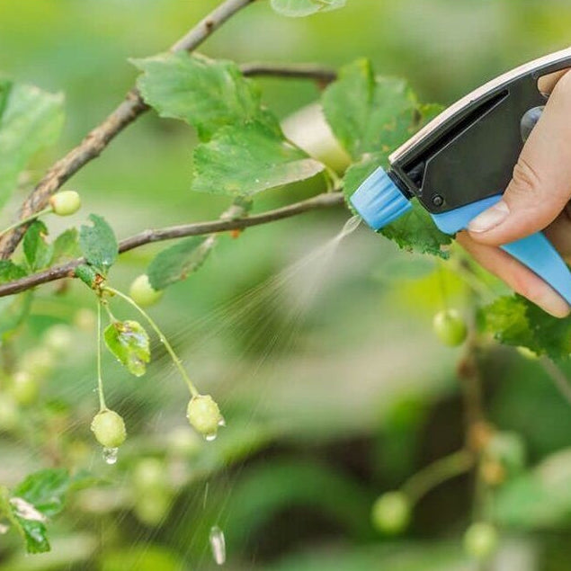 Fungicida Concentrado Forth 30ml