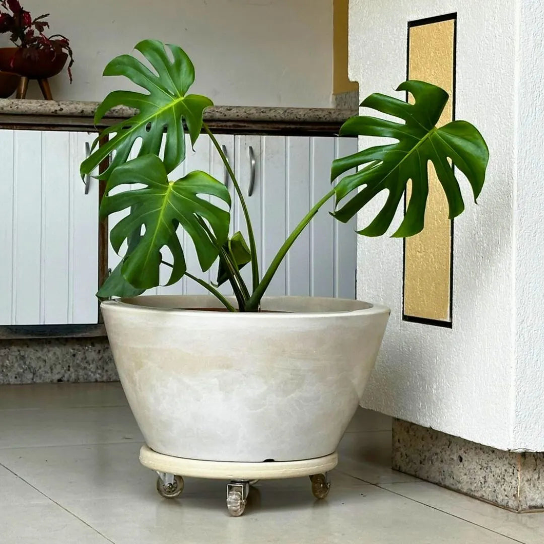 Vaso Bacia Pequim em Polietileno 52cm