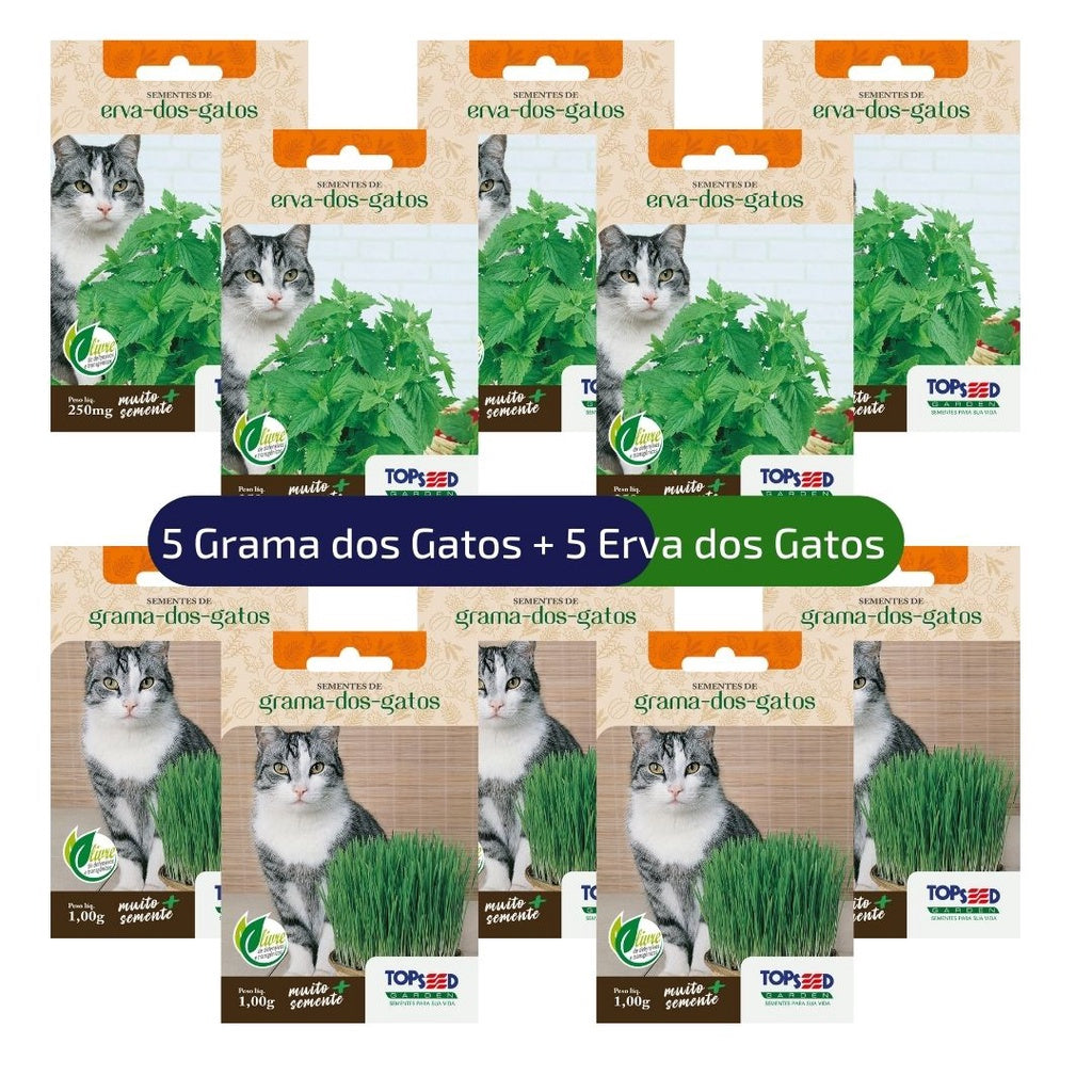 Kit 5un Sementes de Erva + 5un Grama para Gatos