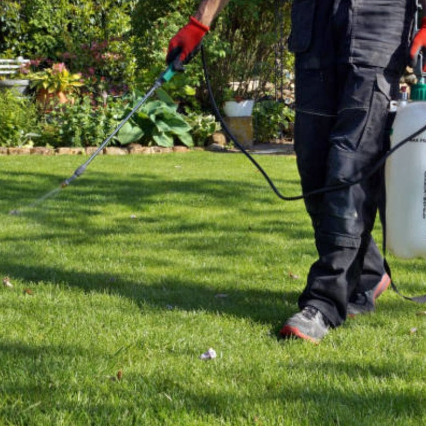 Glifomato Elimina Mato Insetimax 100ml