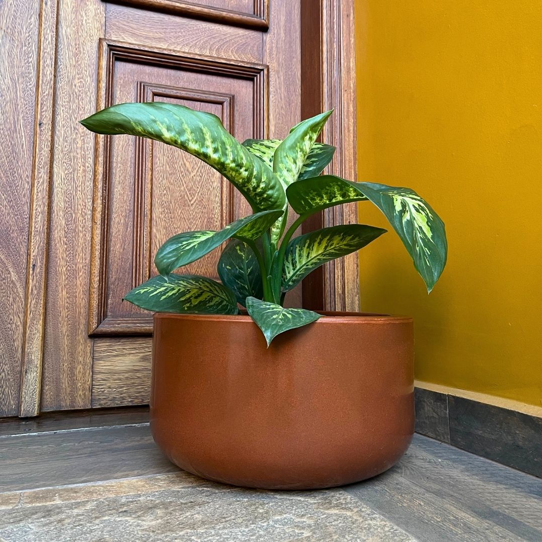 Vaso Bacia Linha Doha em Polietileno