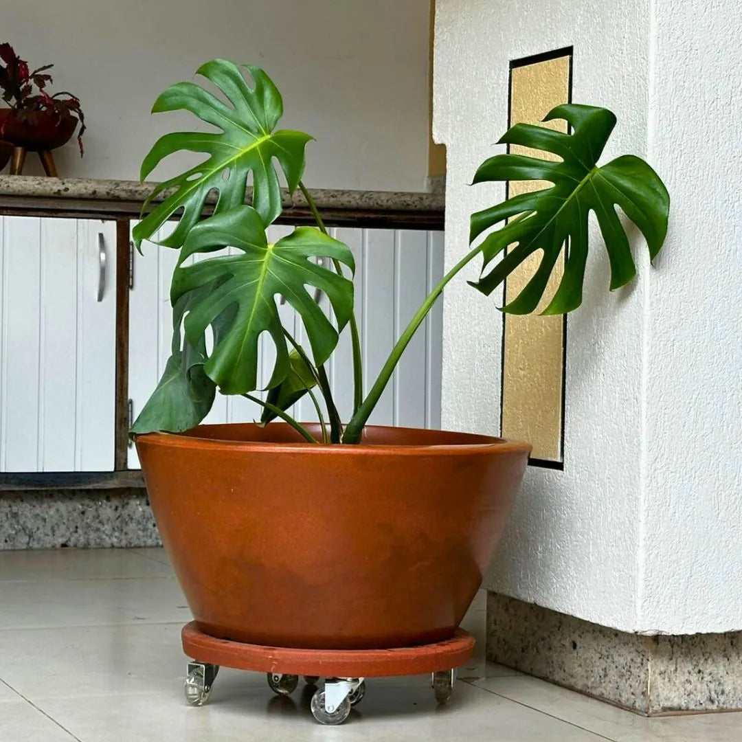 Vaso Bacia Pequim em Polietileno 52cm