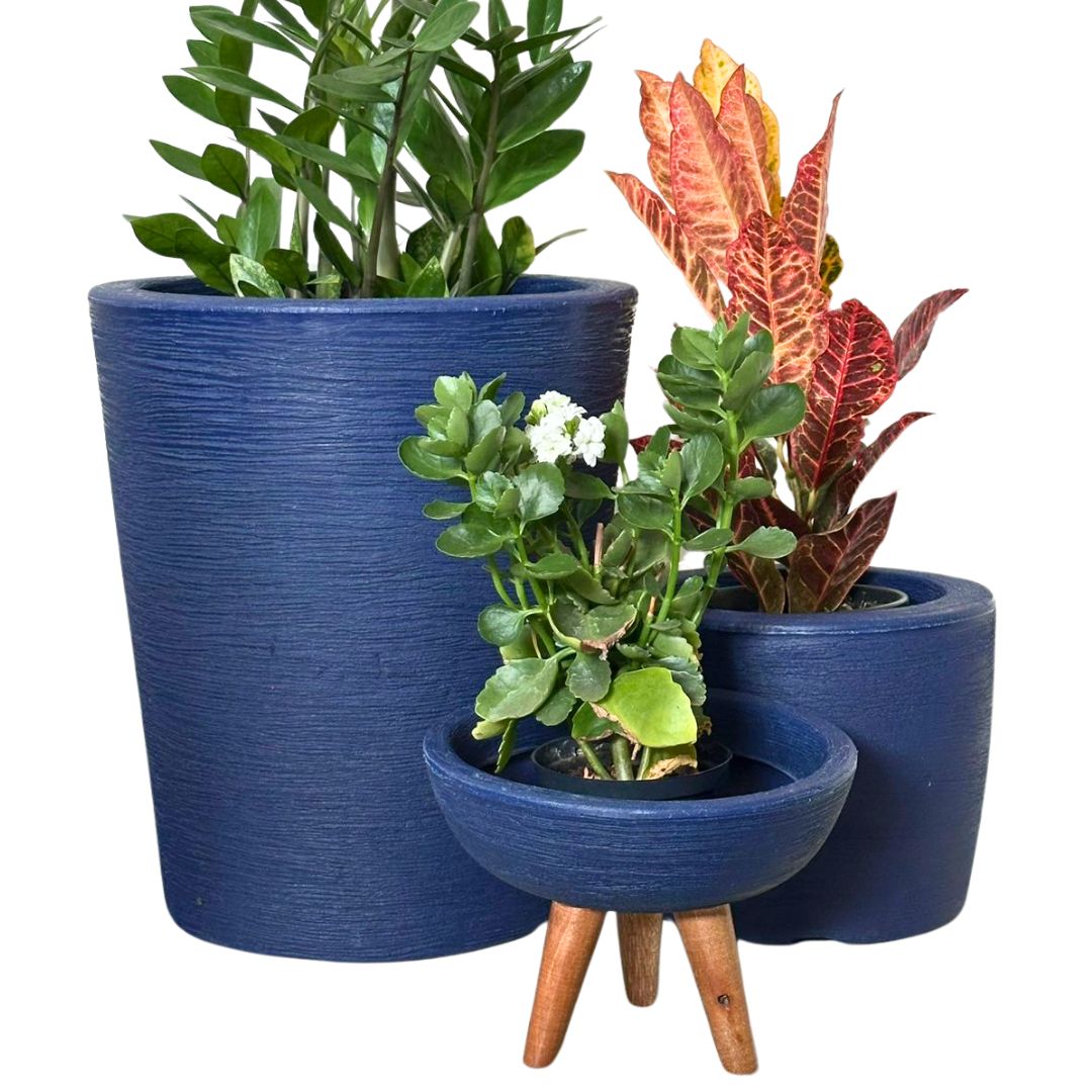 Kit 3 Vasos Decorativos para Pequenos Espaços