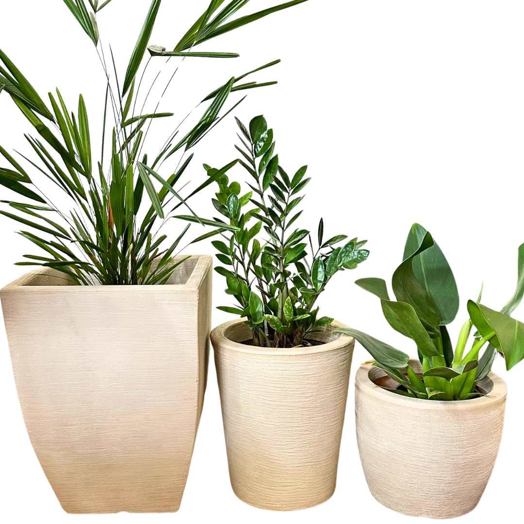 Kit 3 Vasos Texturizados Médios