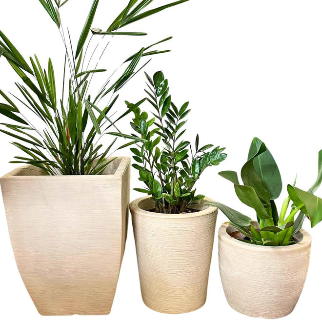 Kit 3 Vasos Texturizados Médios - Verde Garden