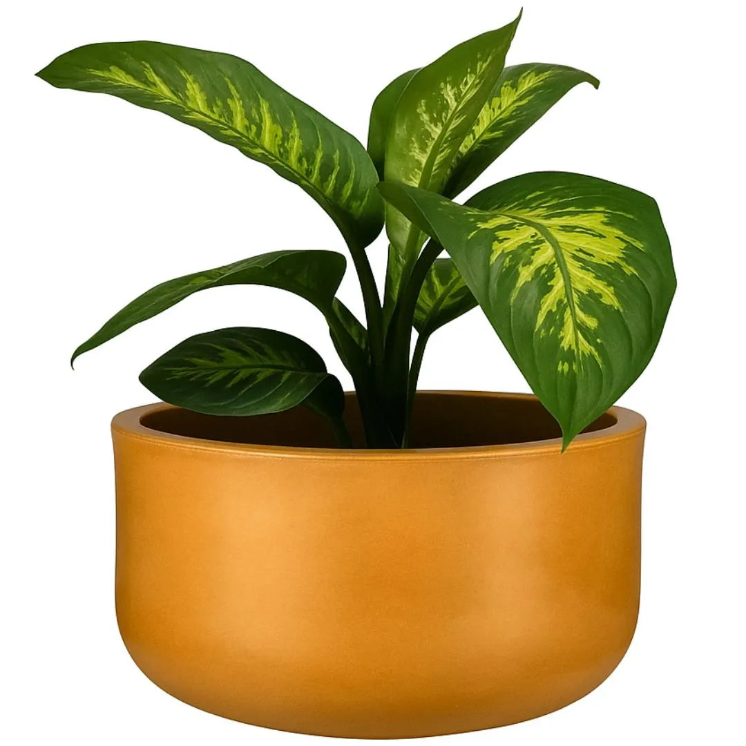 Vaso Bacia Linha Doha em Polietileno