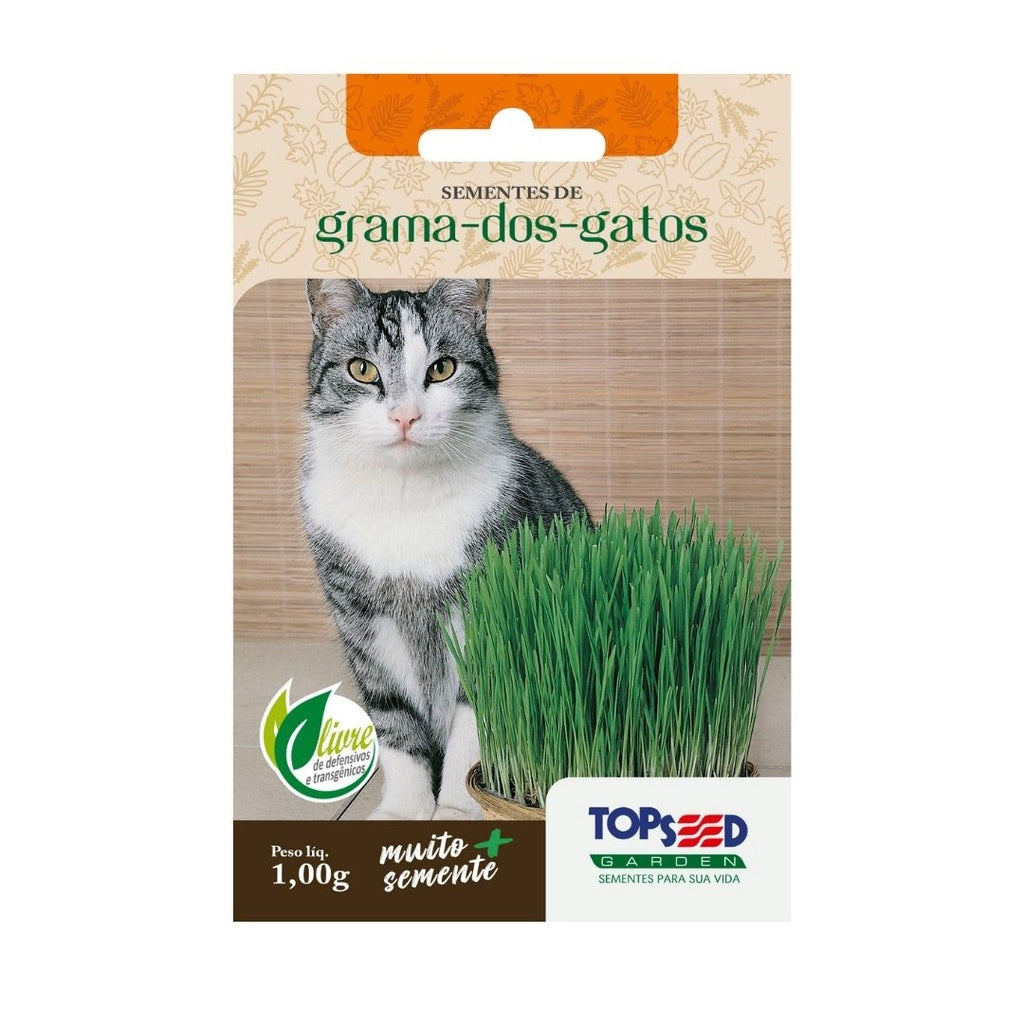 Kit 5un Sementes de Erva + 5un Grama para Gatos