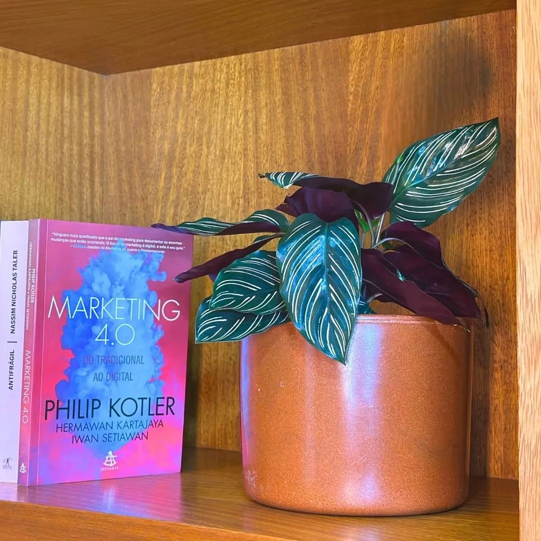 Vaso Decorativo Redondo Mini Doha 14x19cm