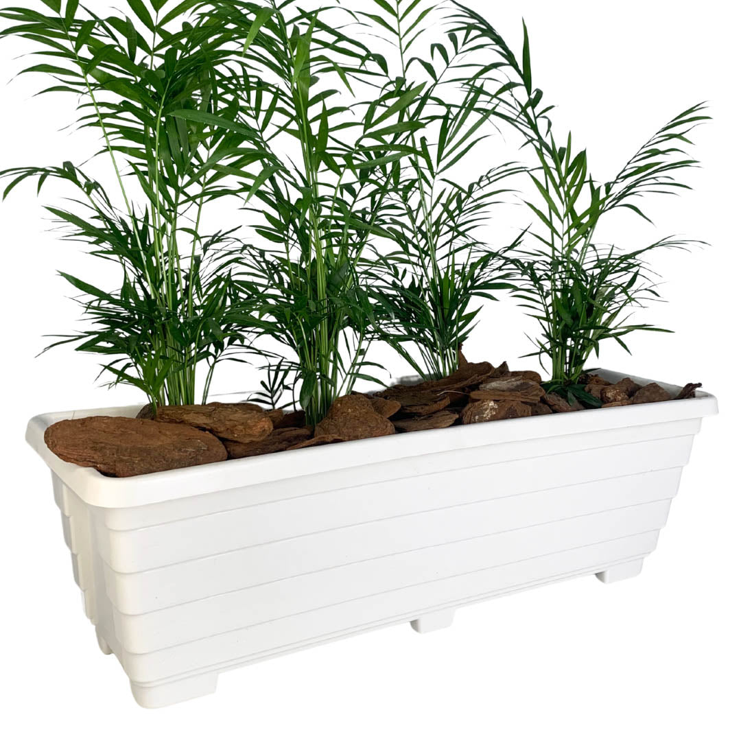 Jardineira Floreira de Plástico 50cm
