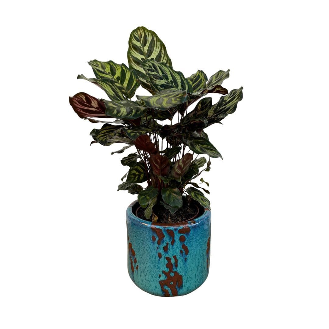 Vaso Cachepot de Cerâmica Texturizada