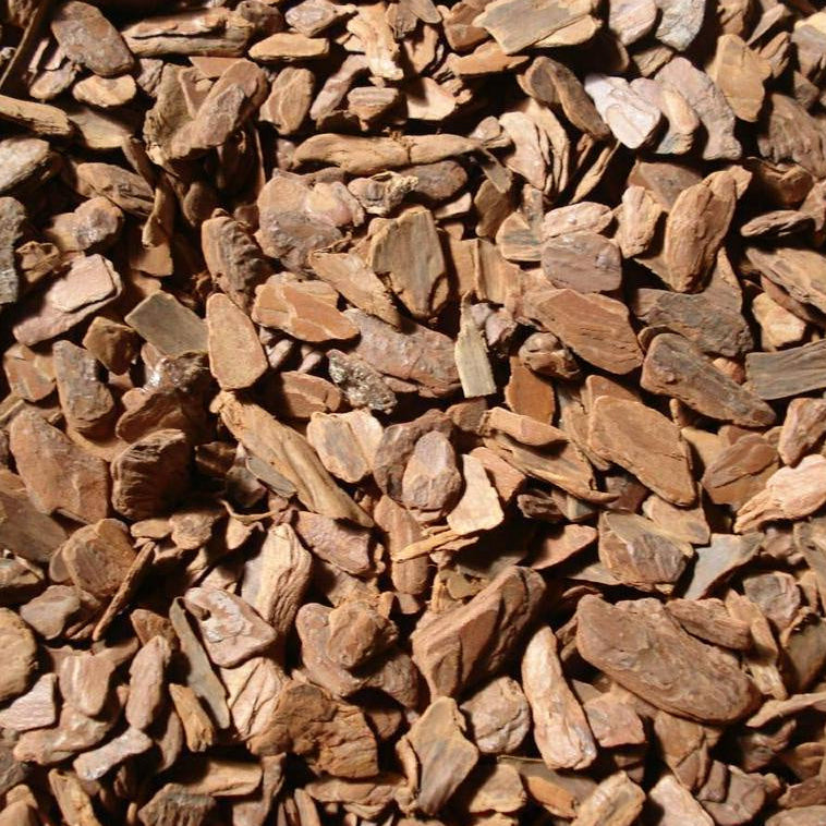 Casca de Pinus Polida 1,5kg