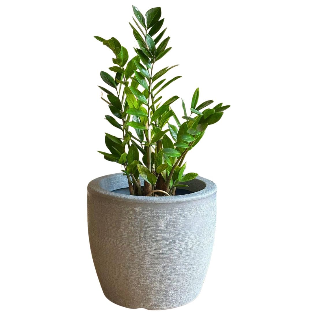 Kit 3 Vasos Decorativos em Polietileno