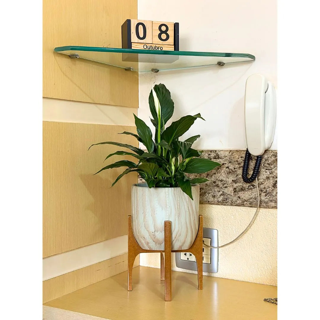 Vaso Cachepot Linha Genebra em Cerâmica