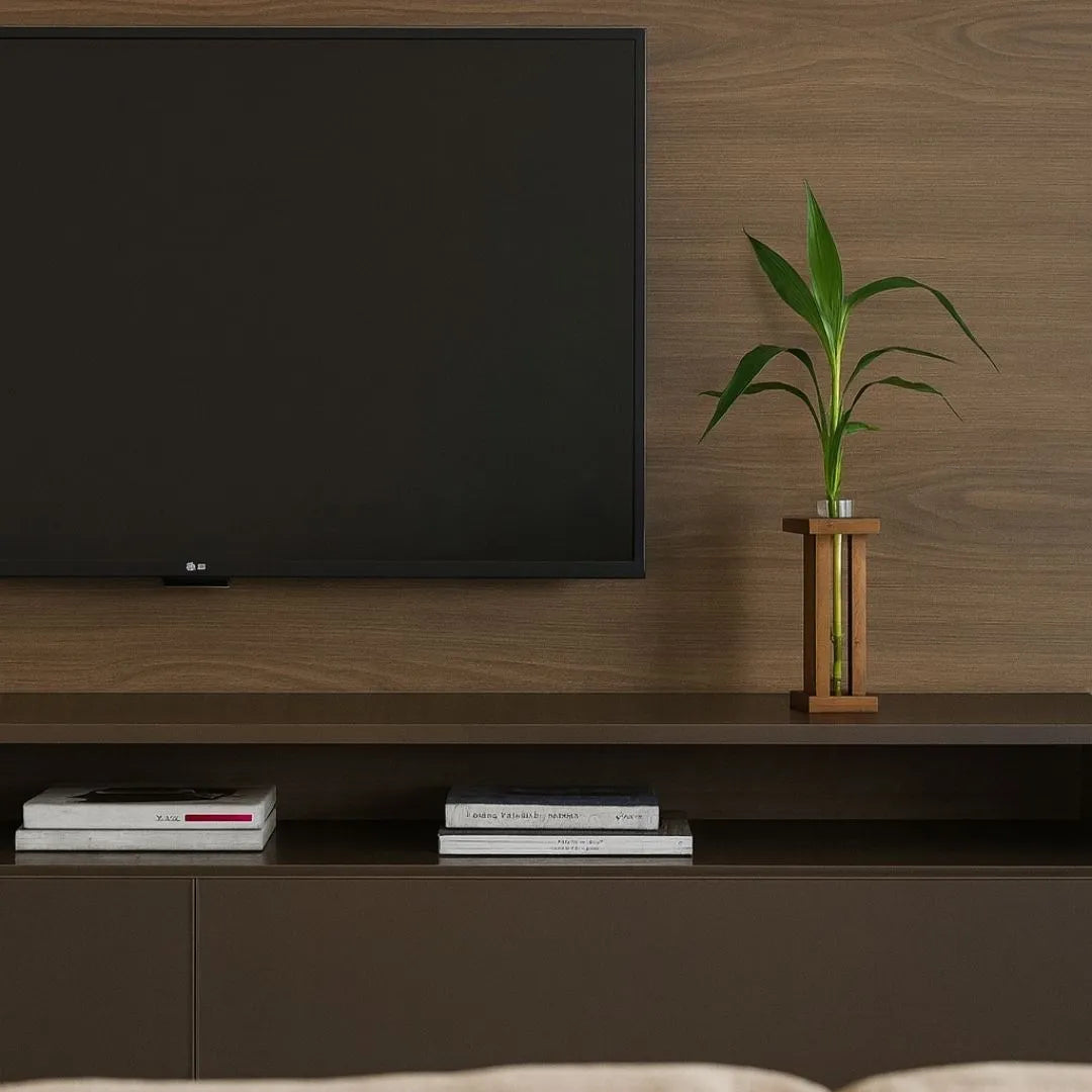 Vaso com Suporte + Muda Bambu da Sorte (Dracaena sanderiana)