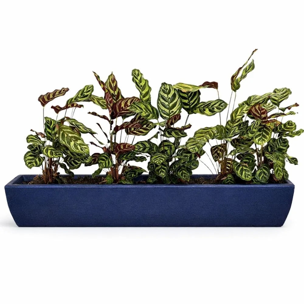 Jardineira Viena Fina em Polietileno