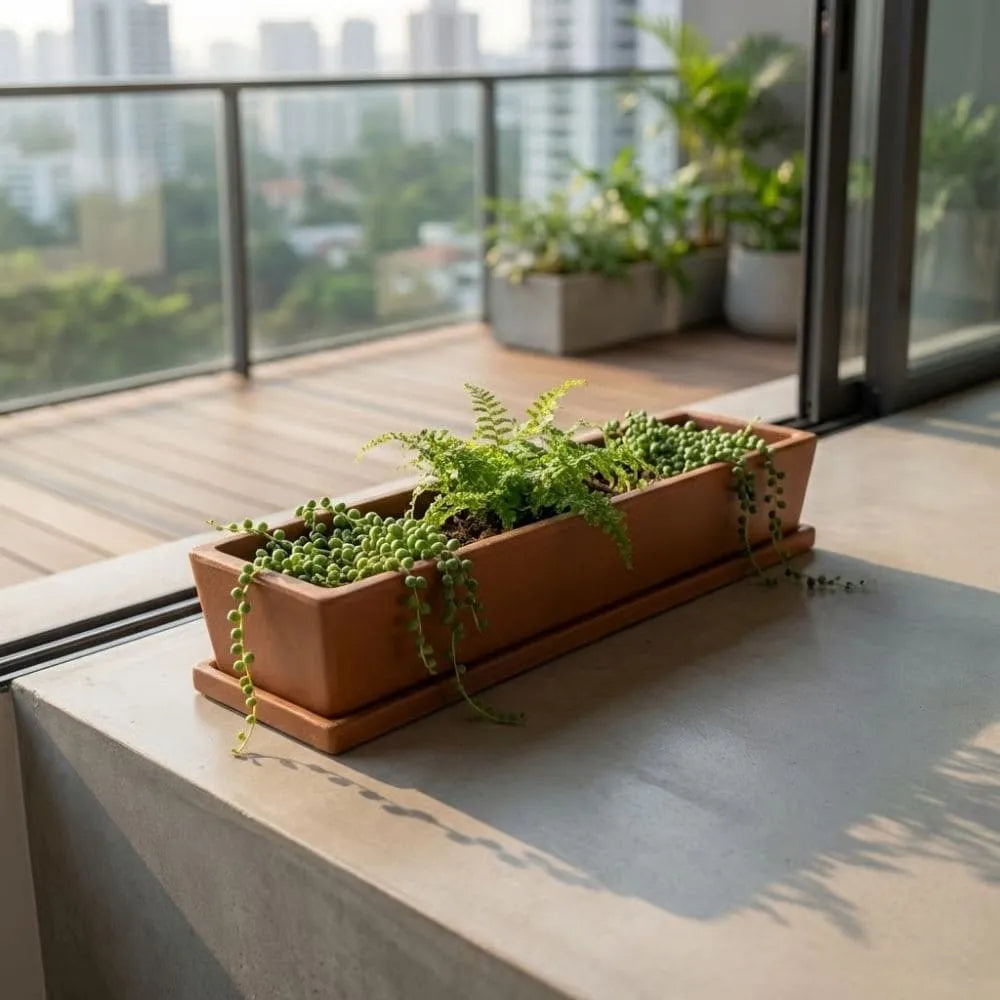 Jardineira com Prato Coletor 80x15cm em Polietileno