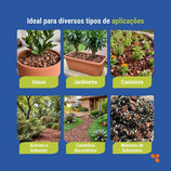 Casca de Pinus Polida Para Jardim e Paisagismo Avena 5L