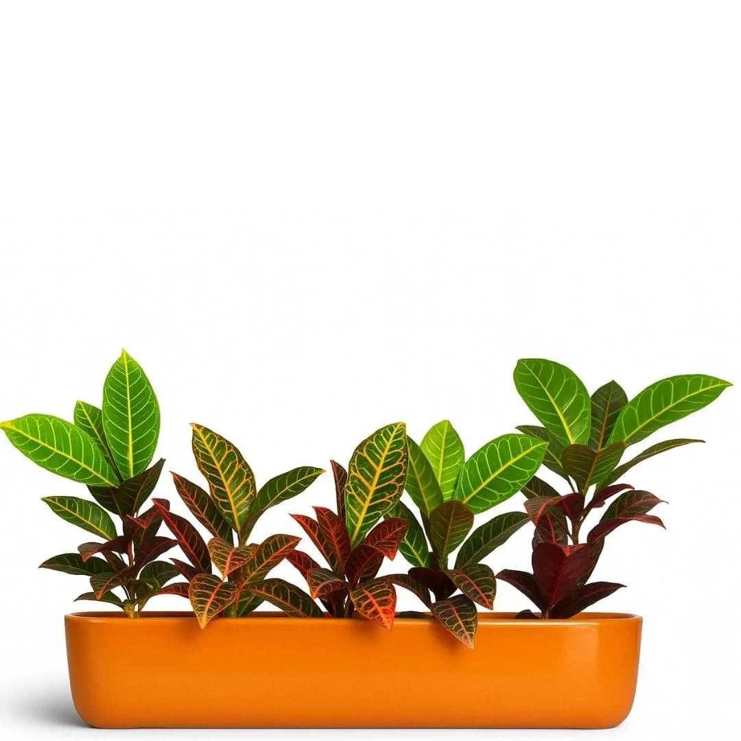 Jardineira Doha em Polietileno 80x17cm