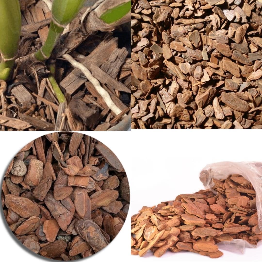 Kit da Carina Para Plantio de Mudinhas - O Melhor Substrato