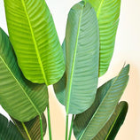 Bananeira Planta Artificial Grande Árvore Decoração de Vaso