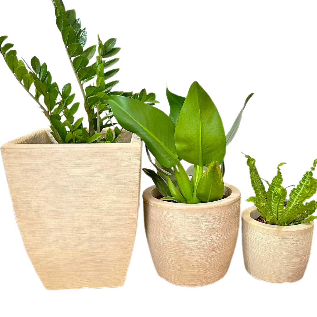 Kit 3 Vasos Texturizados Pequenos