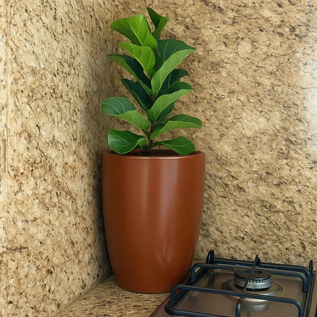 Vaso Pequim em Polietileno 30x24cm