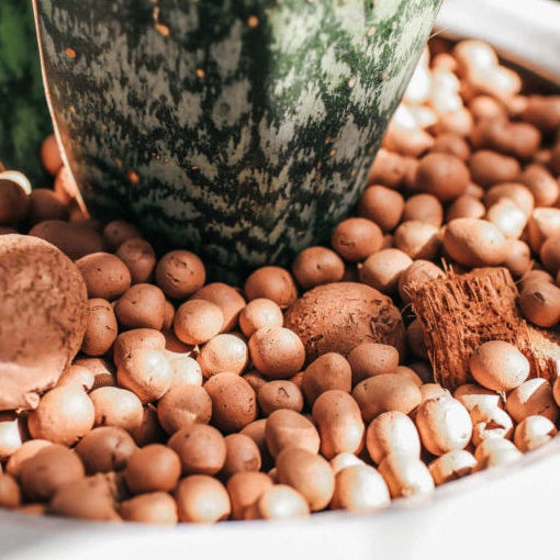 Kit Completo para Horta Caseira - Mesa Horta com 1 Vaso