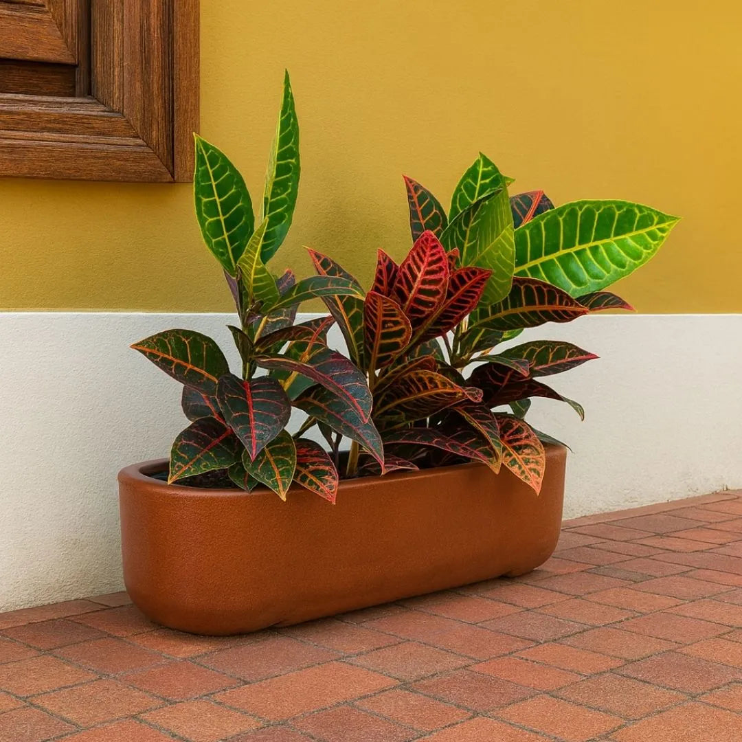 Jardineira Doha em Polietileno 50x17cm