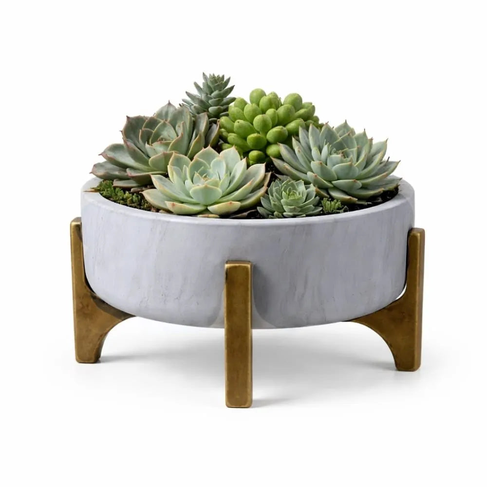 Vaso Bacia Linha Genebra com Suporte de Madeira