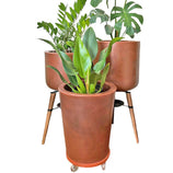 Kit Com 3 Vasos de Luxo Para Planta Decoração Apartamento